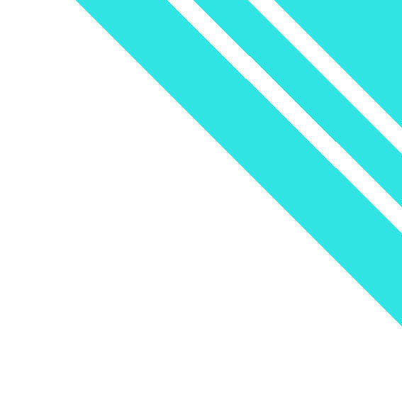 ECORD EDGE Mountain Bike