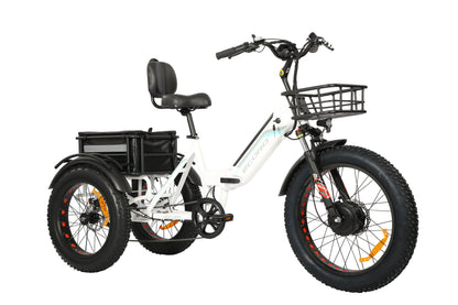 ROVER Pro Electric Tricycle