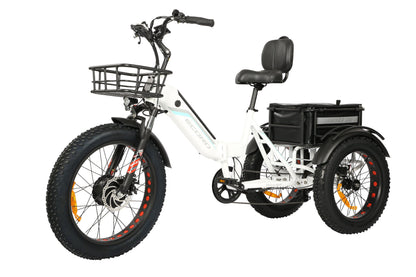 ROVER Pro Electric Tricycle