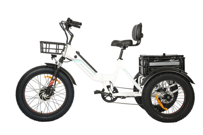 ROVER Pro Electric Tricycle